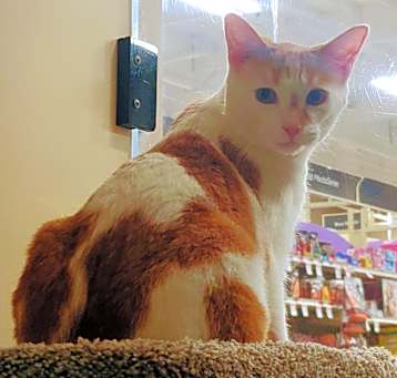 Photo of Sammie