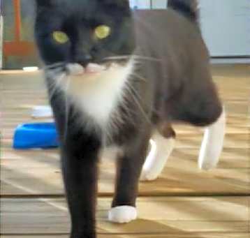 Photo of MAEVE