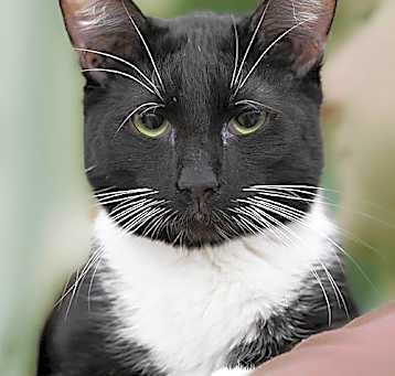 Photo of Mack