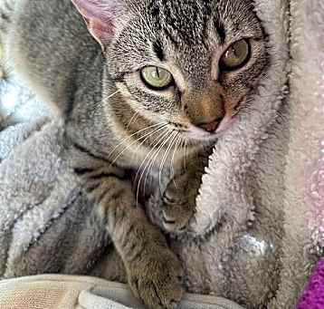 Photo of Lexi