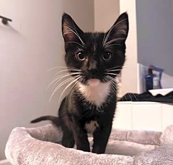 Photo of Amara