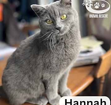 Photo of Hannah - Loves Everyone!