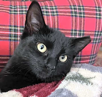 Photo of Holly