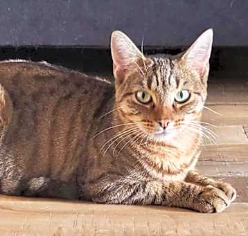 Photo of CELIA