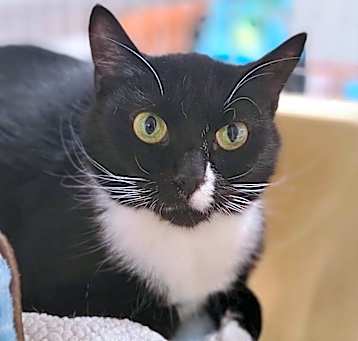 Photo of LUNA