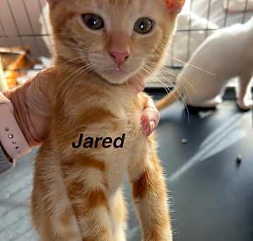 Photo of Jared