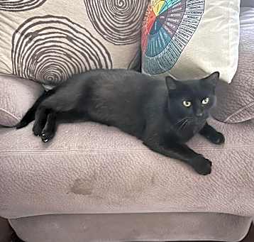 Photo of Sabrina