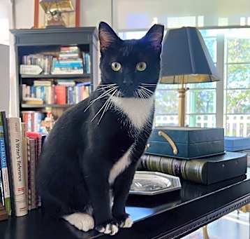 Photo of Pepper