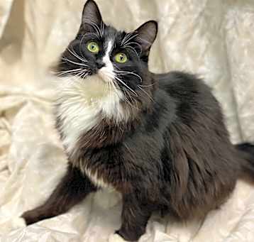 Photo of Simone