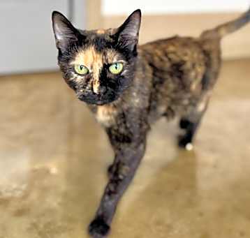 Photo of Hazel