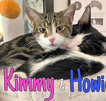 Photo of Howie