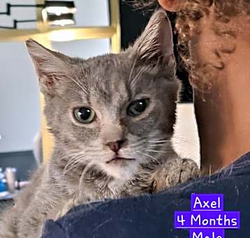 Photo of AXEL