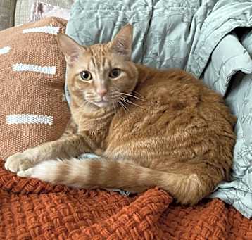 Photo of Penny