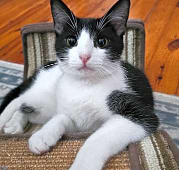 Photo of Turbo