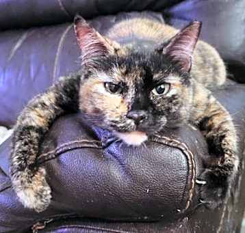 Photo of Charlotte