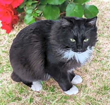 Photo of Max