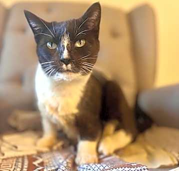 Photo of Leeloo*