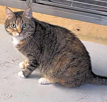Photo of Greta
