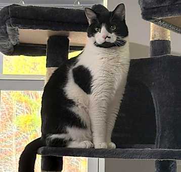 Photo of Booger