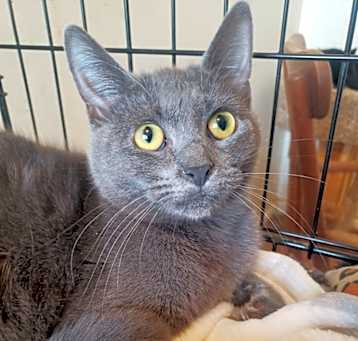 Photo of Luna