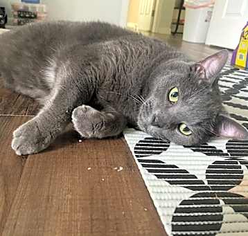 Photo of Jasper