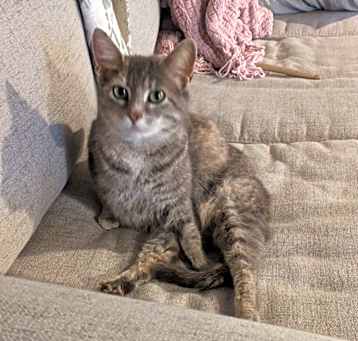 Photo of Kit