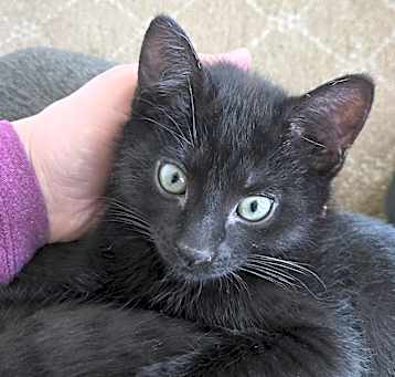 Photo of Nova