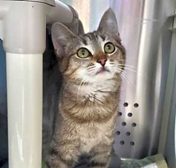Photo of Amelia