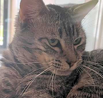 Photo of Chance