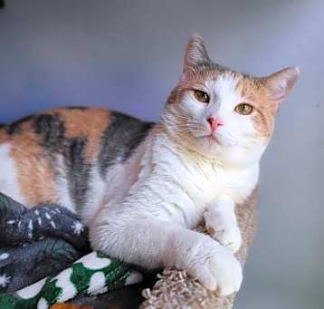 Photo of Molly