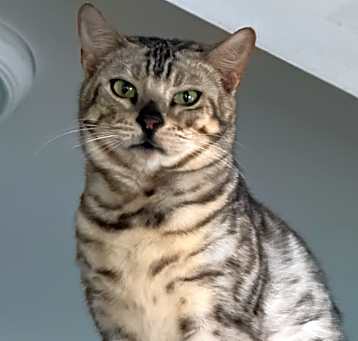 Photo of Skyler