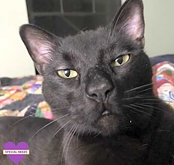 Photo of Dimitri