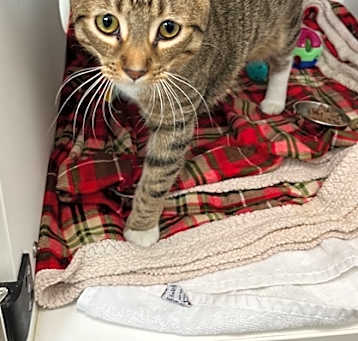 Photo of Zeus