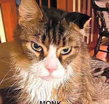Photo of Monk