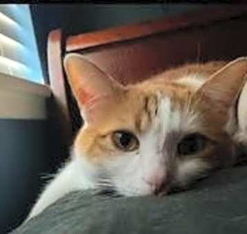 Photo of Happy