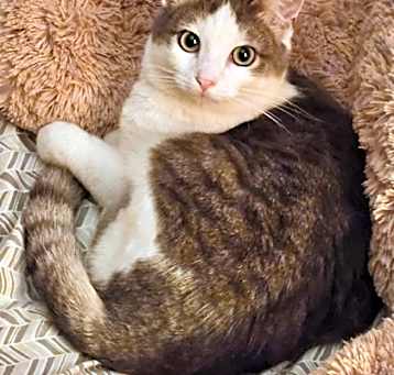 Photo of Mia Anne