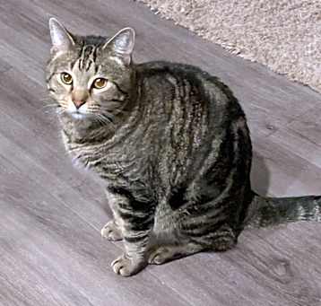 Photo of Leo