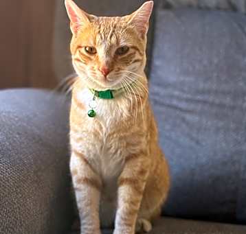 Photo of Cash
