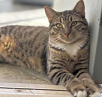 Photo of Ernest