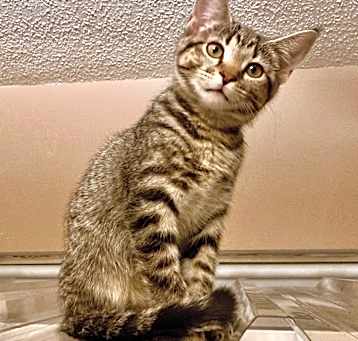 Photo of Moli