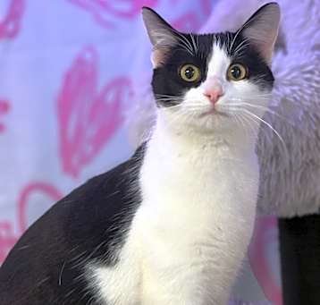 Photo of Mitzi