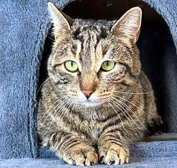 Photo of Salem