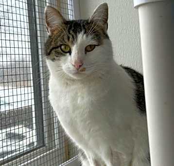 Photo of Jinx