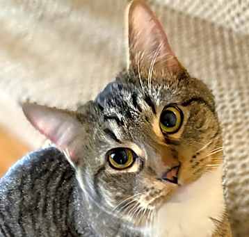 Photo of Bootsie