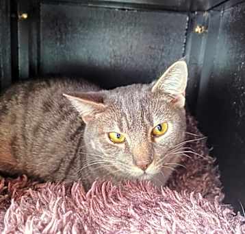 Photo of Stormy