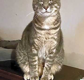 Photo of Merry