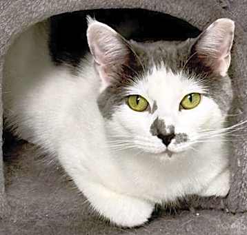 Photo of Sammy