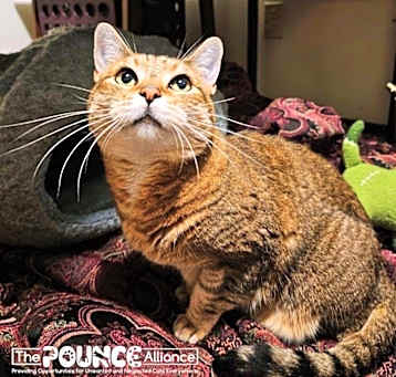 Photo of Punkin