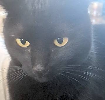 Photo of Sookie