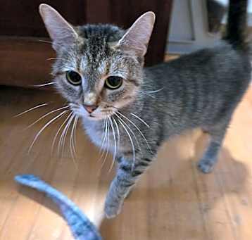 Photo of Xena